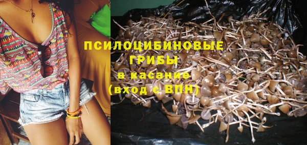 крисы Балахна