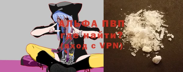 spice Новозыбков