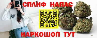 spice Новозыбков