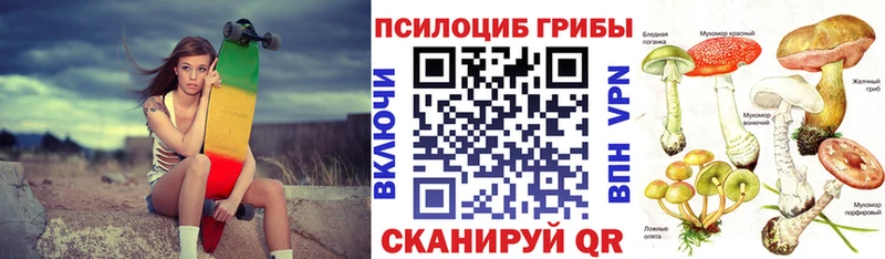 Псилоцибиновые грибы Cubensis  MEGA как войти  Армавир  где продают  