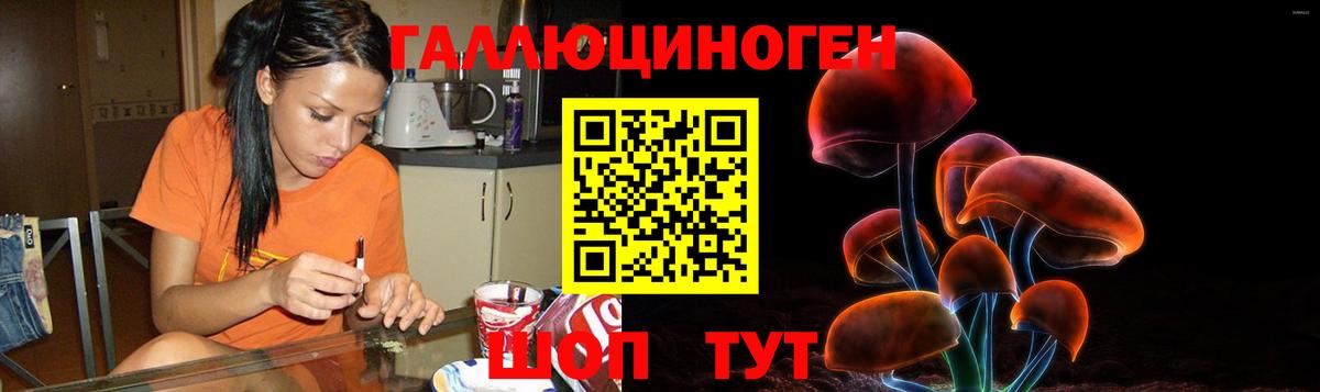 Псилоцибиновые грибы GOLDEN TEACHER Армавир